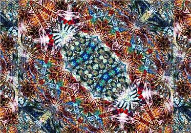 《永恒空间2》2022年更新路线图 2023年初正式发售